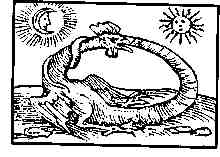 jung13.jpg