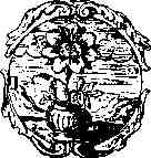 jung132.jpg