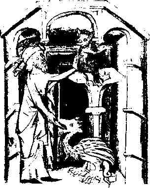 jung161.jpg
