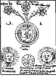 jung18.jpg
