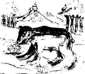 jung186.jpg