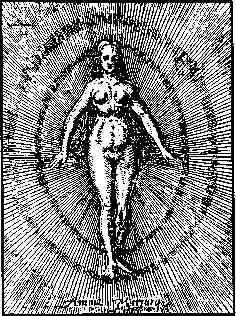jung187.jpg