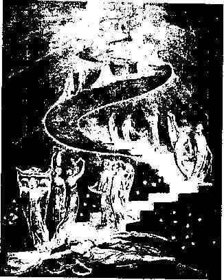 jung19.jpg