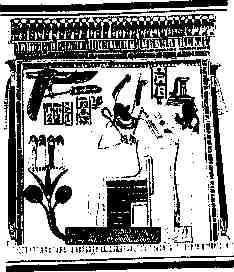 jung198.jpg