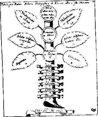 jung211.jpg