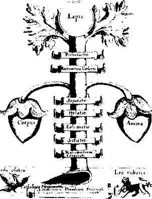 jung2110.jpg