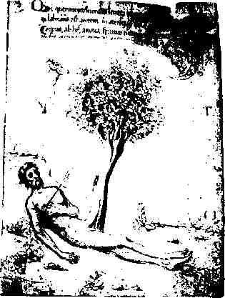jung220.jpg
