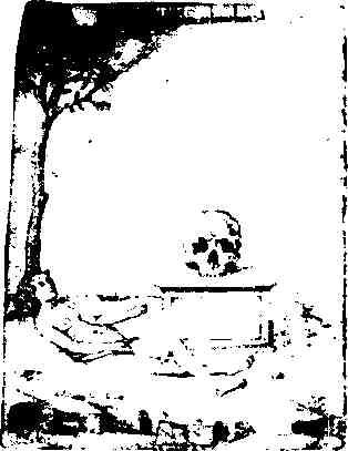 jung224.jpg