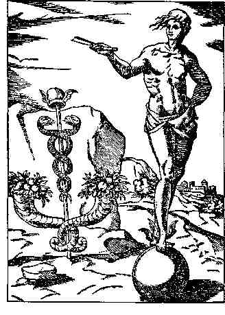 jung254.jpg