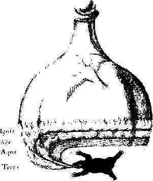 jung267.jpg