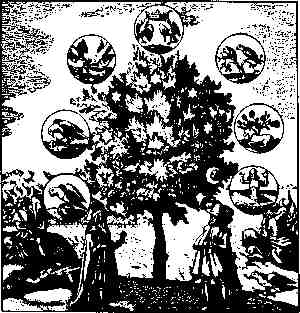 jung277.jpg