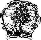 jung278.jpg