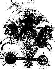 jung295.jpg